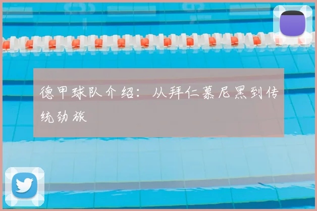 德甲球队介绍：从拜仁慕尼黑到传统劲旅