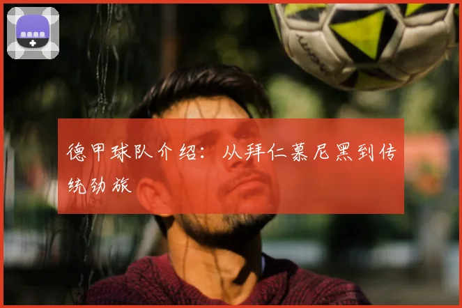 德甲球队介绍：从拜仁慕尼黑到传统劲旅