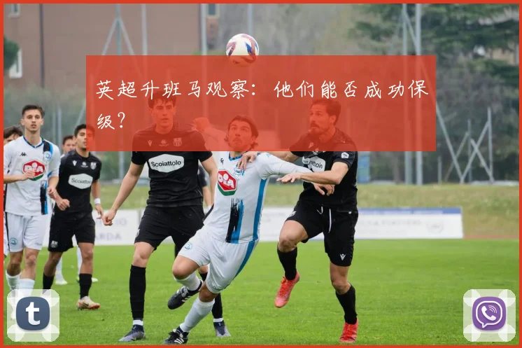 英超升班马观察：他们能否成功保级？